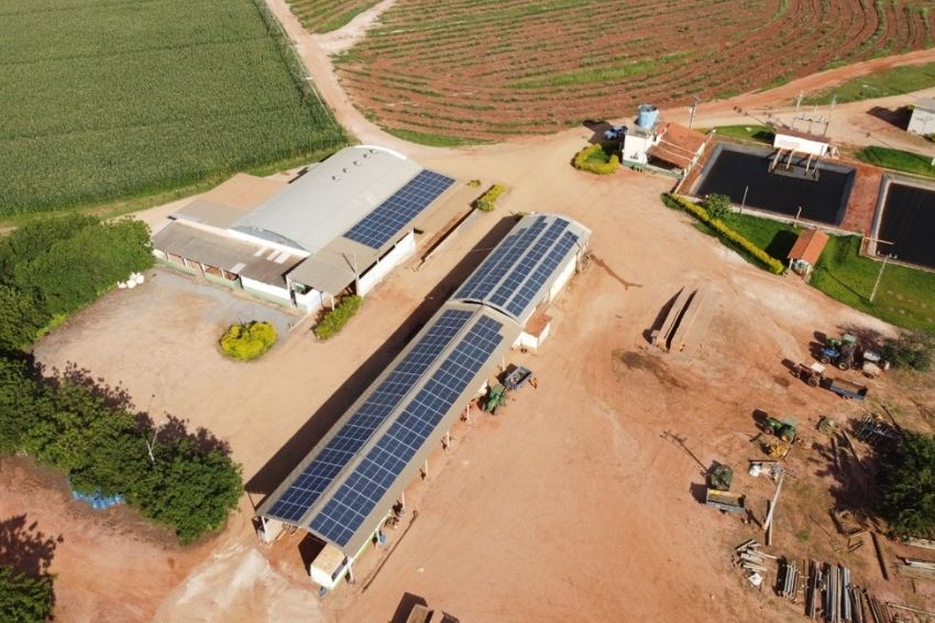 Grupo Frutas Futuro implanta três usinas fotovoltaicas na Bahia