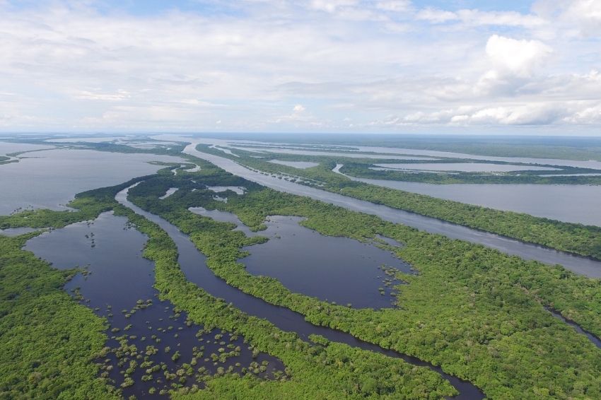 Projeto Amazônia 4.0 prevê exploração sustentável da biodiversidade