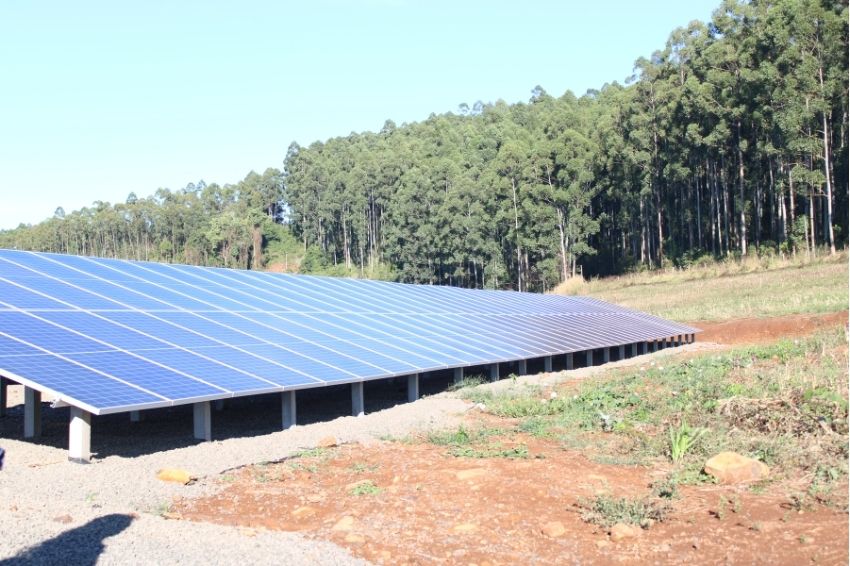 Creche de suínos economiza 80% na conta de luz com uso de energia solar