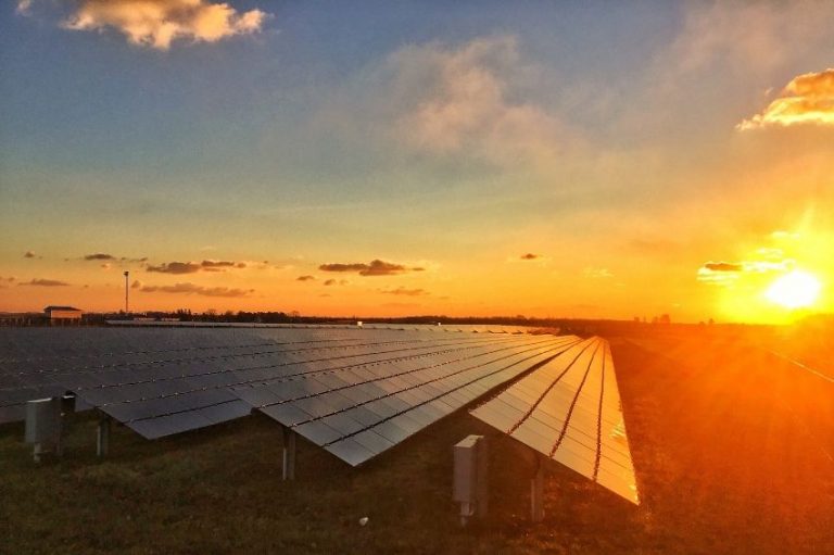 Energia solar no campo: alimento mais barato na mesa