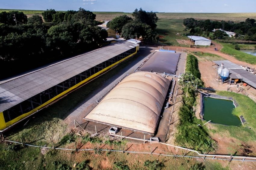 Granja no PR investe em instalação de sistema fotovoltaico