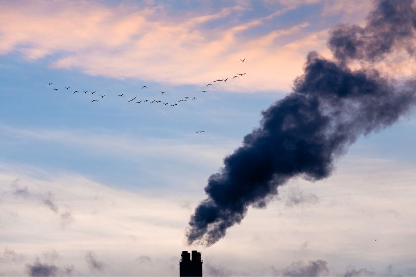 04-01-21-canal-solar-Dois terços das empresas globais miram zerar emissões de carbono