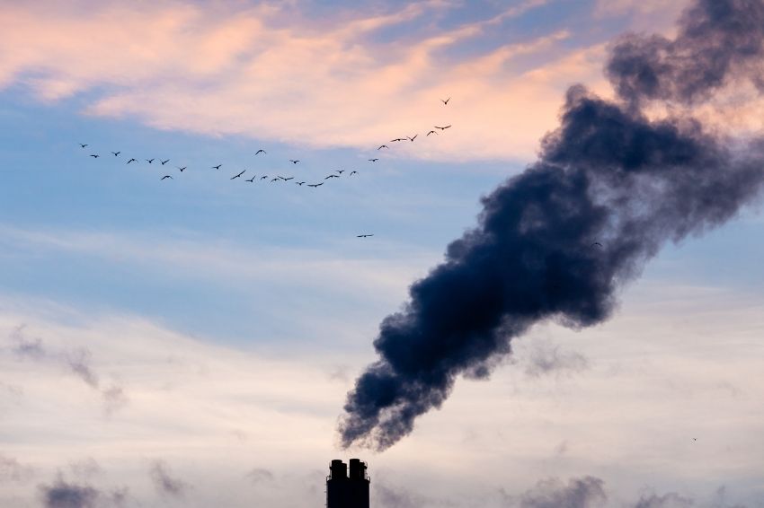 Fábrica emitindo gases poluentes e pássaros voando