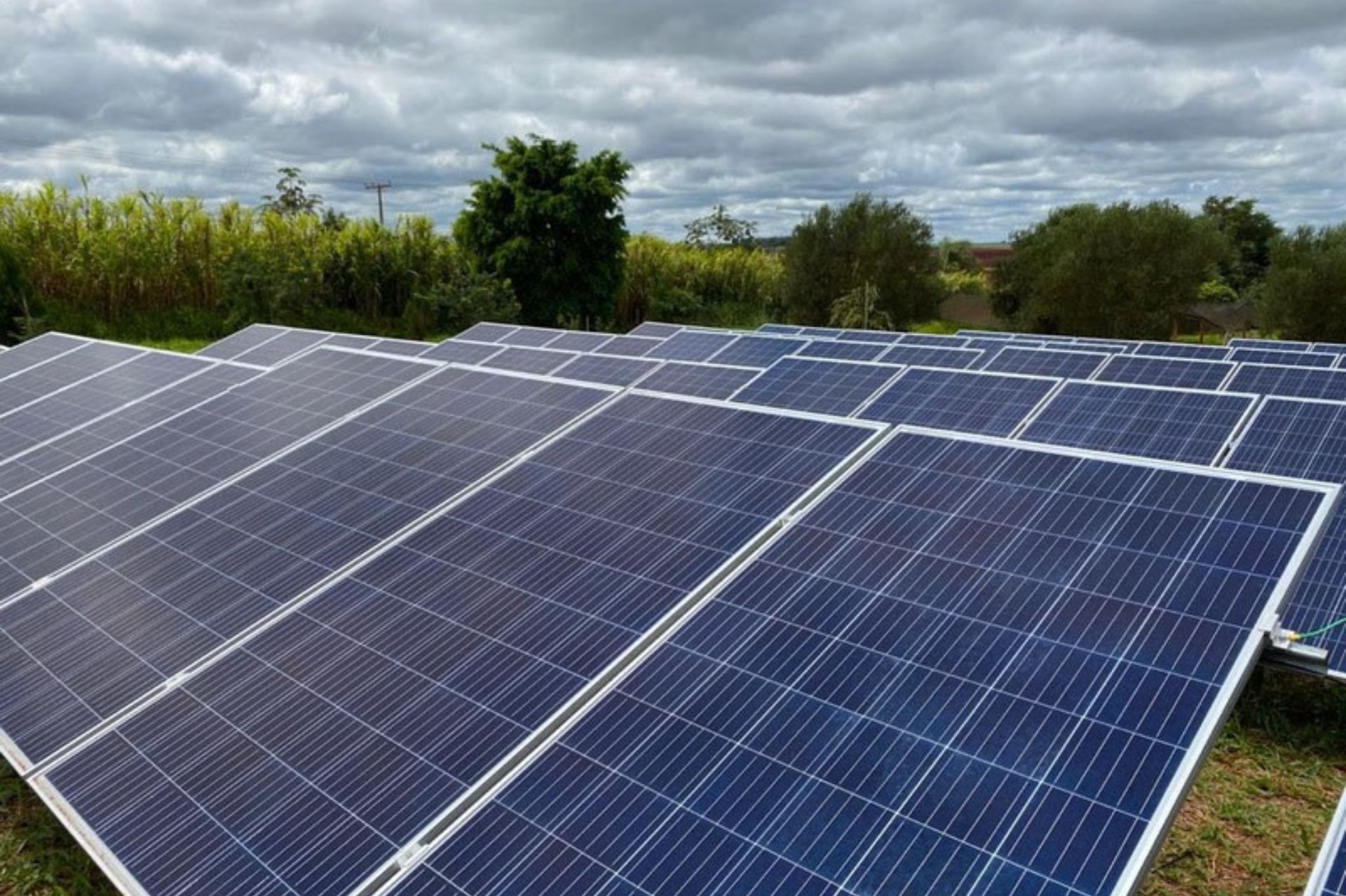 08-02-23-canal-solar-Renovigi lança linha própria de módulos fotovoltaicos