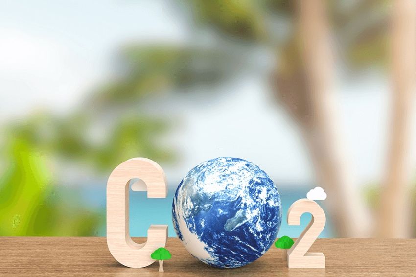 Canal-Solar-Em-acao-inedita-Comerc-neutraliza-emissoes-de-CO2-de-colaboradores.jpg