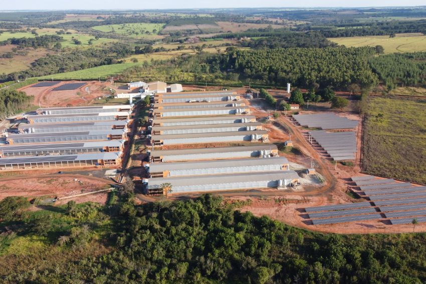 27-07-23-canal-solar-Fazenda em SP investe em solução híbrida para reduzir custos com combustível