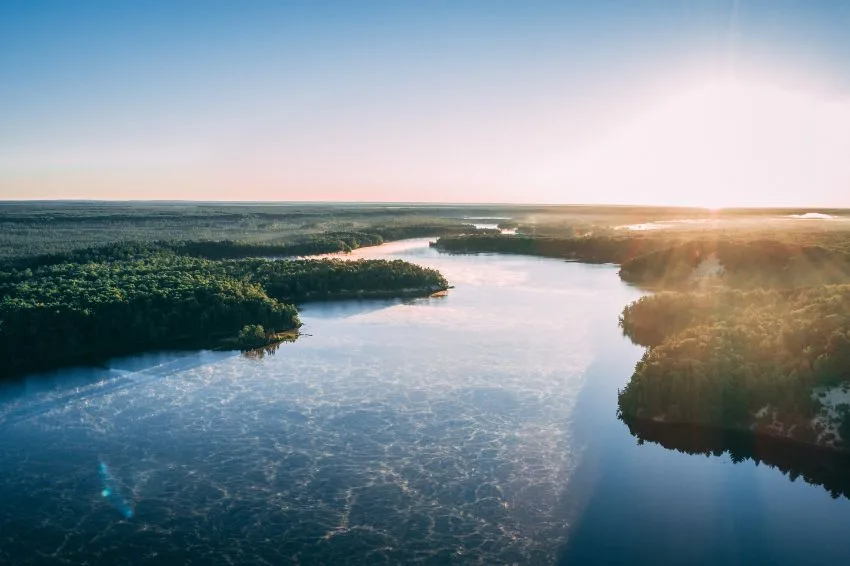 Dia Mundial do Meio Ambiente reforça a necessidade de reinvenção