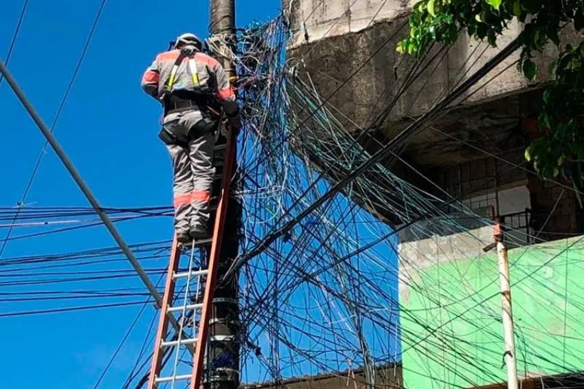 Brasileiros pagaram até 13,4% a mais na conta de luz por gatos