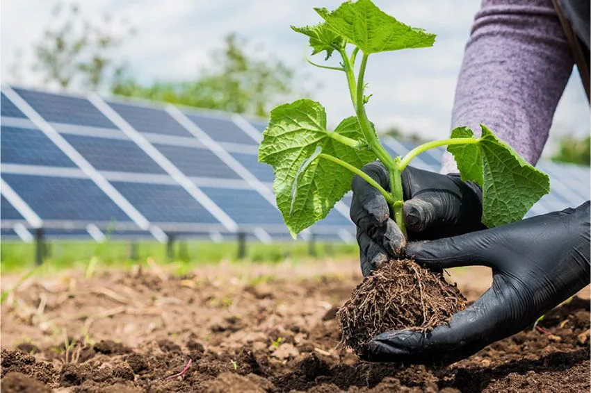 Energia solar já evitou emissão de 50 milhões de toneladas de CO2 no Brasil