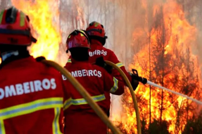 Queimadas afetam o sistema elétrico na região de Campinas