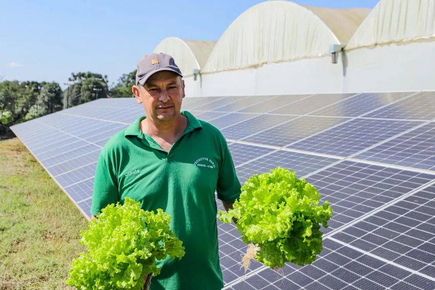 Produtor de hortaliças tem economia de 85% com energia solar