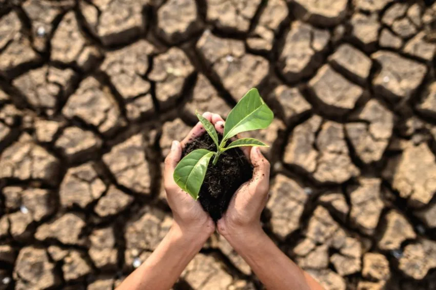 SP abre consulta pública sobre plano de adaptação e resiliência às mudanças climáticas